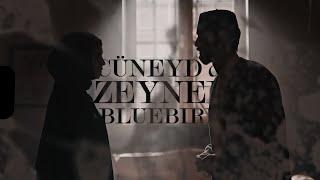 Cüneyd & Zeynep ⬩ Bluebird