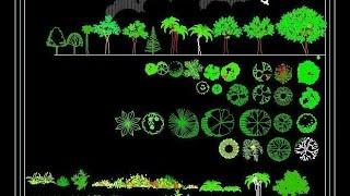 Free Landscape CAD Block Download (www.planndesignpro.com)- Plants, Shrubs, Hedges, Creepers, Tree