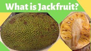 What is Jackfruit?