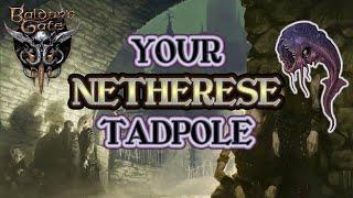 Baldur's Gate 3: Why Auntie Ethel Is Afraid Of Your Tadpole...