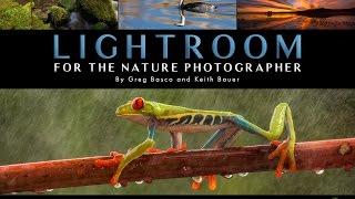 LIGHTROOM FOR THE NATURE PHOTOGRAPHER