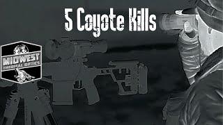 5 coyote kills using the AGM Secutor and AGM Sidewinder | Thermal Predator Hunting