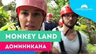 Monkey Land - Доминикана (Планета Обезьян)