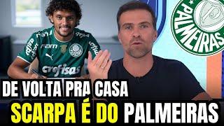 VOLTA PRA CASA! SCARPA acerta retorno ao PALMEIRAS!   NOTÍCIAS DO PALMEIRAS HOJE!