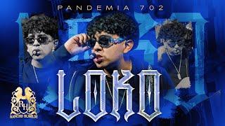 Pandemia 702 - Loko [En Vivo]