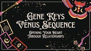 Gene Keys - Venus Sequence Breakdown