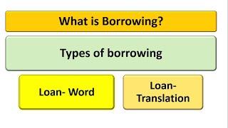 What is Borrowing? Types of Borrowing? Explained with examples.