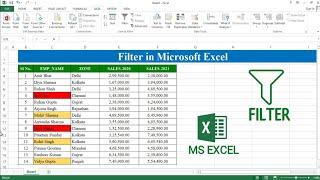 How to Filter Data in Microsoft Excel | Filter in MS Excel | Filter by Color in Excel