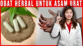 5 Obat Herbal Murah Alami Indonesia untuk Sembukan Asam Urat