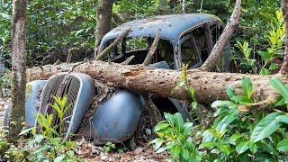 Rare Collection of 50 Classic Cars Abandoned in the Woods