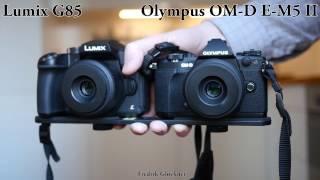 Lumix G85 vs Olympus E-M5 II, video stabilization