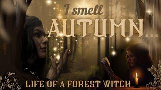 'I Smell Autumn'  Life of a Forest Witch  Kitchen Witchery | Fae led walk | Altar work 