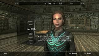 Skyrim (mods) - Preset Madness: R246 Concept - Testing 4