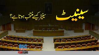 Senate of Pakistan | How Do Senators Get Elected | Single Transferable Vote System| Faisal Warraich