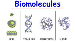 Biomolecules-Lipids,Proteins,and Carbohydrates problems