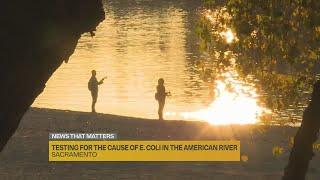 Study finds sources of E. coli in American river from animals, not humans