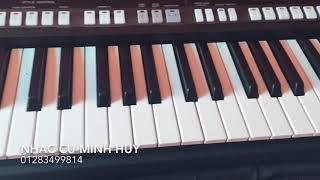 01283499814 bán organ korg pa300 pa600 pa700 pa900 pa1000 pa3x pa4x pa5x Long An tiền giang