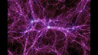 The Bio-Plasma Universe