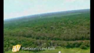 BW Plantation VideoProfile V2