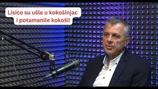 Igor Radojičić: Lisice su potamanile kokoši u kokošinjcu!