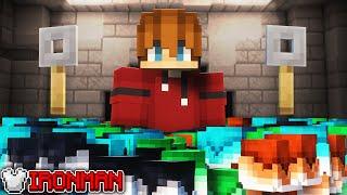 It's about time... (Hypixel Skyblock Ironman) Ep.803