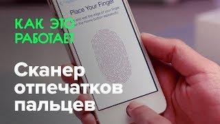 Как работает сканер отпечатков пальцев