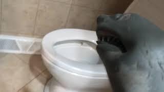 Shark puppet goes for a big poo 