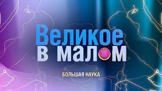 Великое в малом. Индивидуальное и общественное сознание