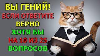 25 вопросов, которые проверят твою память и логику!