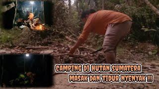 Camping di hutan Sumatera ,masak-masak dan tidur nyenyak #camping #solocamping #campingdihutan #asmr