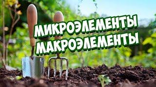 Питание Растений  Микроэлементы и Макроэлементы 