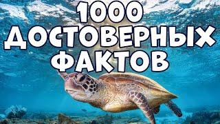 1000 ДОСТОВЕРНЫХ ФАКТОВ, КОТОРЫЕ ВЫ НЕ ЗНАЛИ