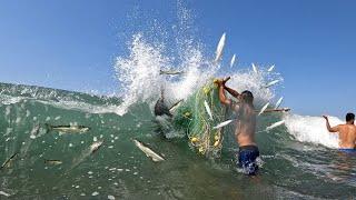 Increíble como estos hombres Pescan con Red de Arrastre Chinchorro