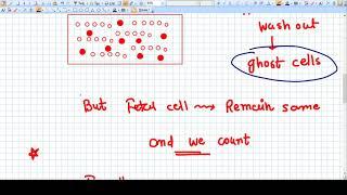 kleihauer test - Rh Negative Pregnancy - Concept