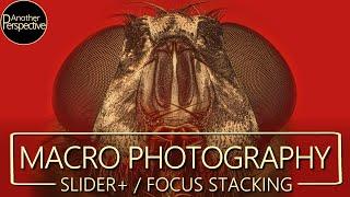 Easy Focus Stacking Workflow for Mindblowing Macro Images | Slider+