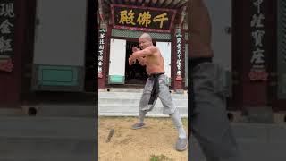 Shaolin Steel Jacket Hard Qigong