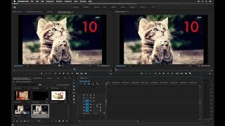 Creating a Timeline in Premiere Pro