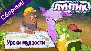 Лунтик - Уроки мудрости️ Сборник 2017 года