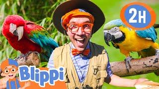 Blippi's San Diego Zoo Tour GuideBlippi Educational Kids Videos | Fun For Kids | After School Club