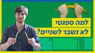 הפיזיקה של הפסטה  | מדעי החיים