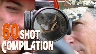 60 Hunting Shot Compilation // Compilation des 60 meilleurs tirs de chasse // 2021