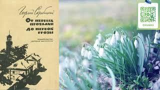 Георгий Скребицкий "От первых проталин до первой грозы" Аудиокнига