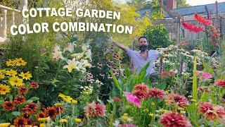 Cottage Garden Design Masterclass - Color