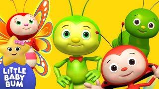 Bugs, Bugs, Bugs, Bugs | Kids Show | Fun Time | Moonbug Kids