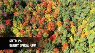 FCPeffects.com - FCP X Optical Flow Comparison