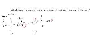 Biological Chemistry: What is a zwitterion