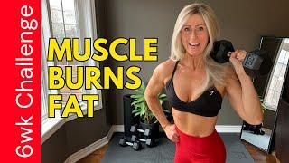 Weight training at home for strength & muscle 6 WEEK CHALLENGE!