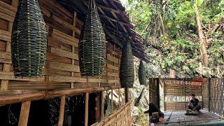 Catching fish is simple, bushcraft shelter building, msyang survival, Mah survival