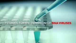 Methods for the detection of RNA Viruses