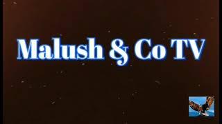 malush n co tv intro